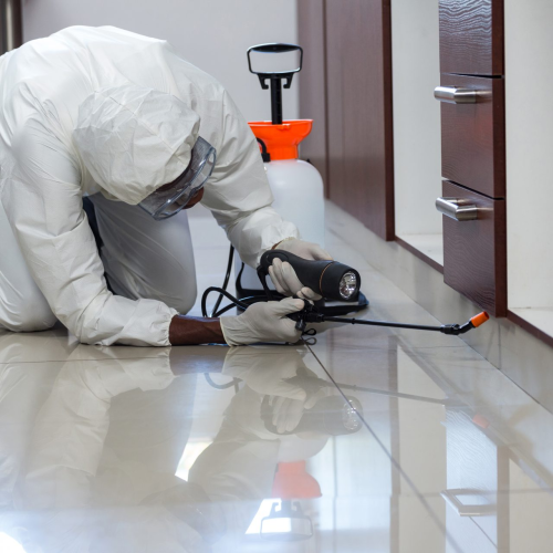 Pest Exterminator Harrogate