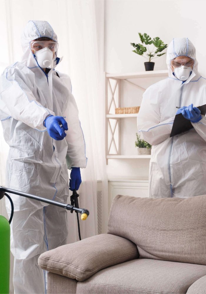 hospital-sanitization-services